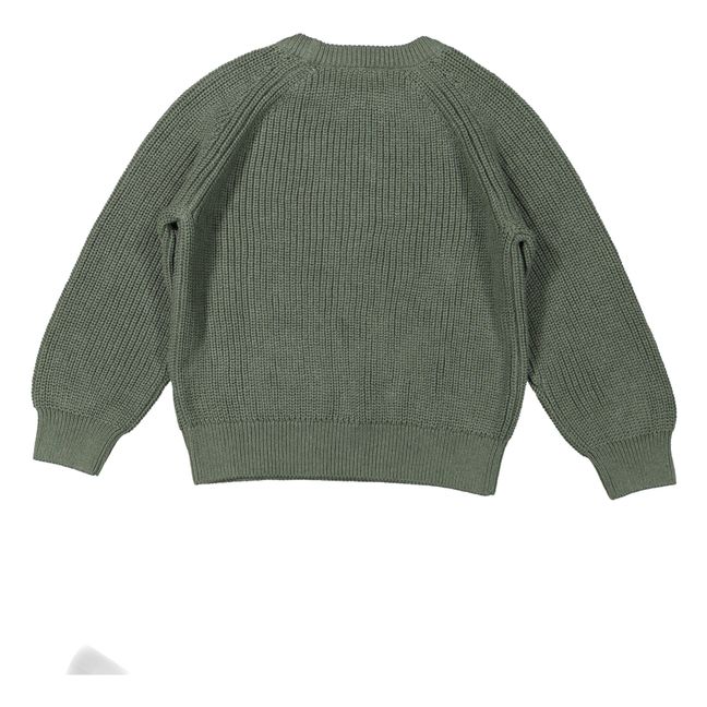 Maglione in cotone organico Cove | Verde