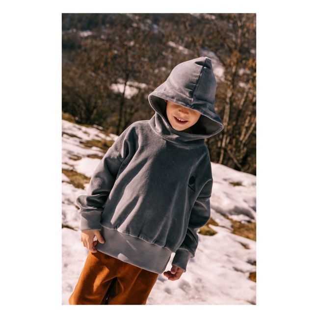 Sweat Capuche Velours Coton Bio Sacha | Gris