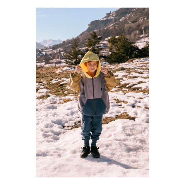 Veste Capuche Molleton Coton Bio Hadrien | Camel