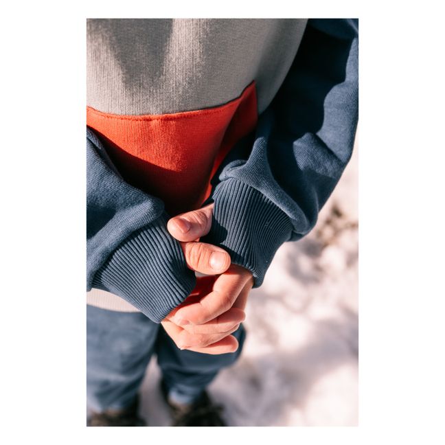 Sweat Capuche Coton Bio Ali | Gris