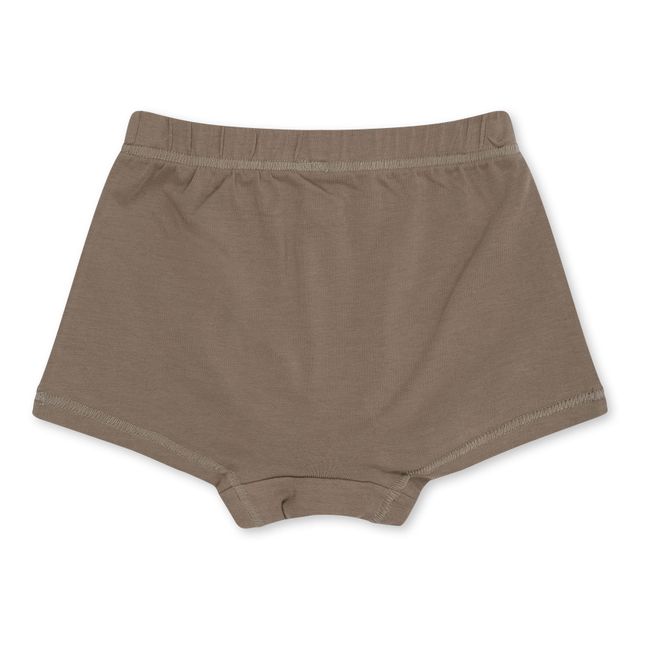 2er-Pack Unterhosen aus Bio-Baumwolle Zitronen | Grau