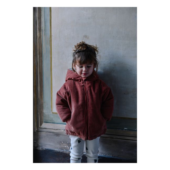 Veste Capuche Velours Milleraies Coton Bio Frio | Chocolat