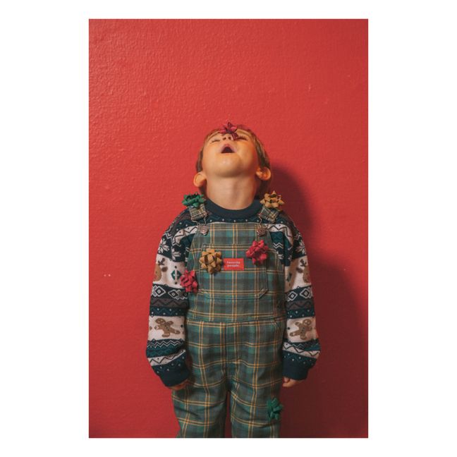 Salopette Longue Carreaux The Little Prince | Chrome green