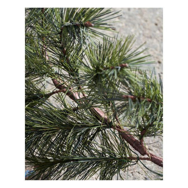 Guirlande de Noël LED en sapin  | Vert sapin