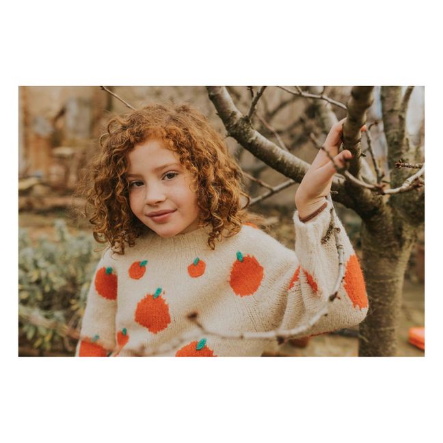 Pull Laine Fraises Nikola | Beige