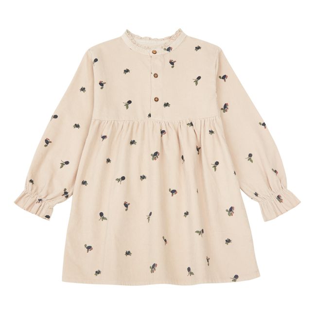 Robe Velours Milleraies Forest | Rose poudré