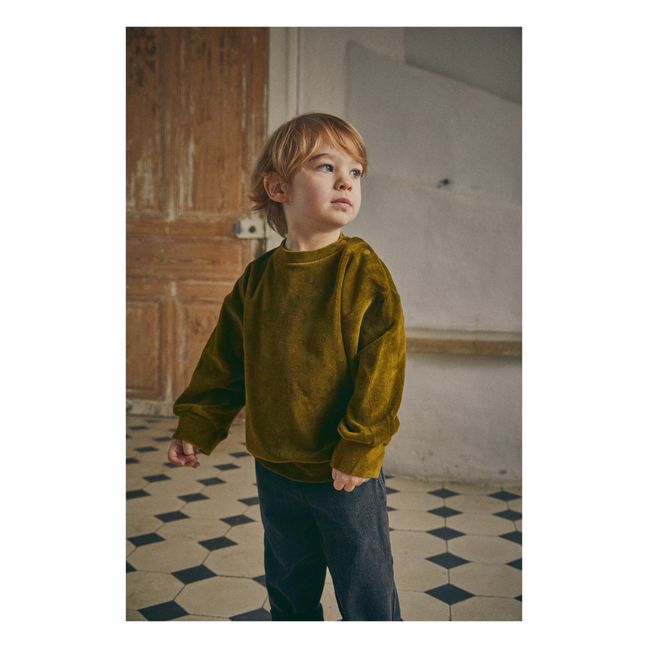Cassandre Velvet Sweatshirt | Khaki