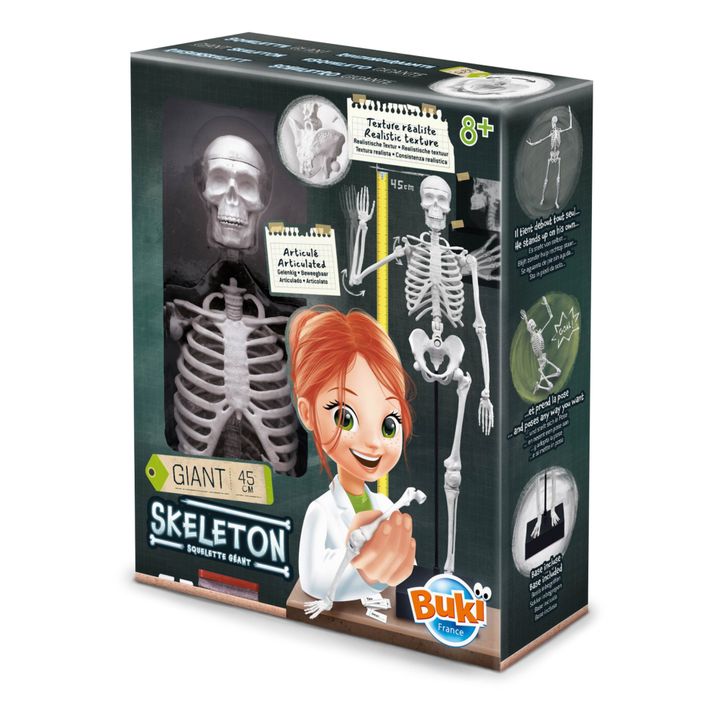 Squelette 45 cm- Product image n°0