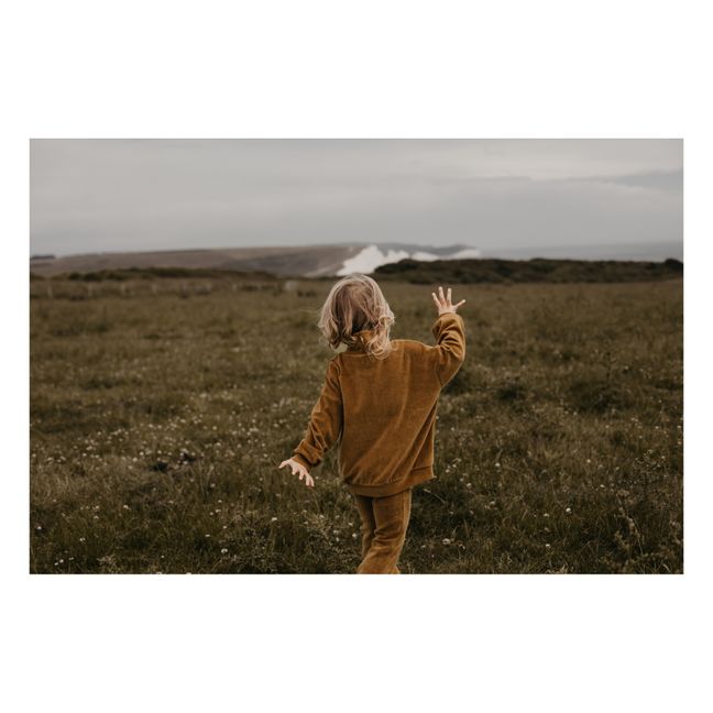 Pull Coton Bio Velours | Bronze