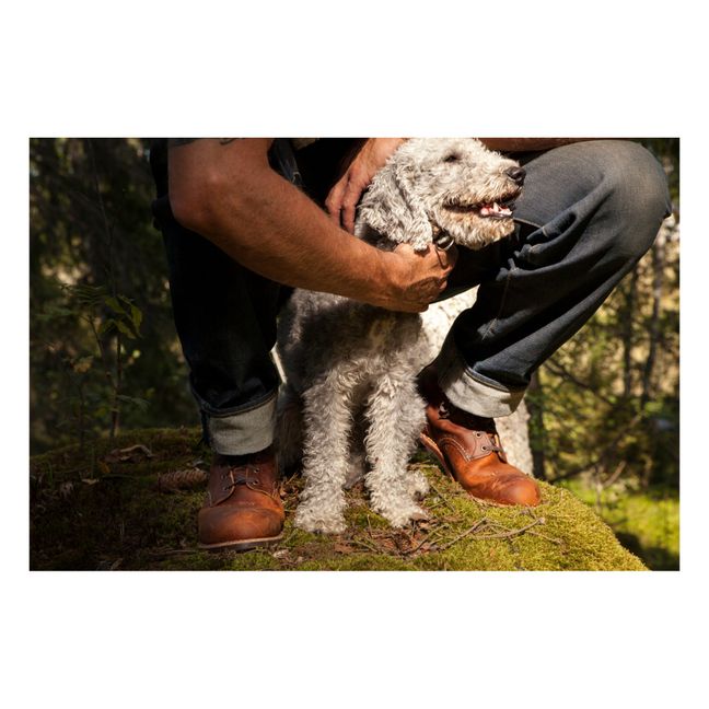 Boots Blacksmith | Brun