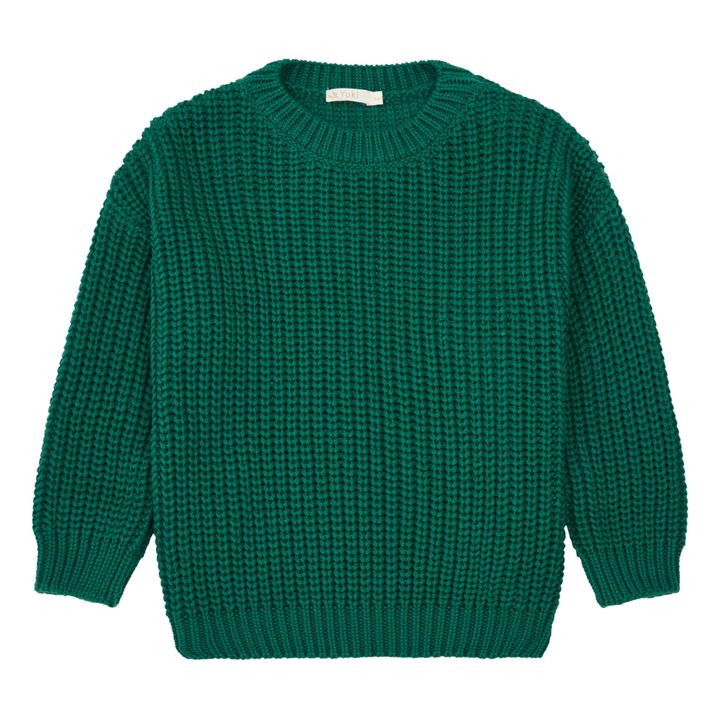 Organic Cotton Chunky Sweater | Green- Product image n°0