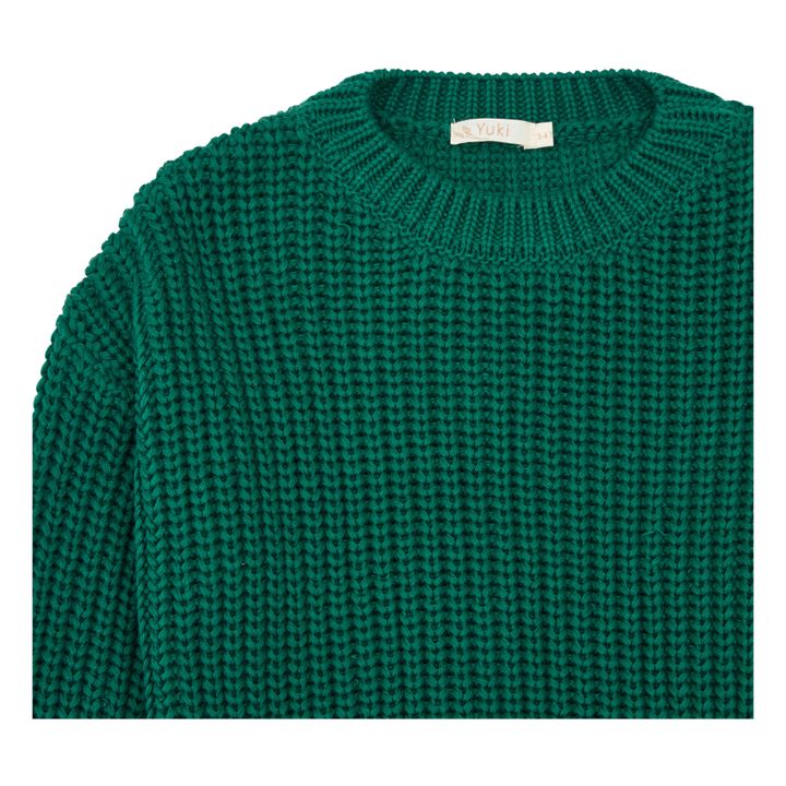 Organic Cotton Chunky Sweater | Green- Product image n°1