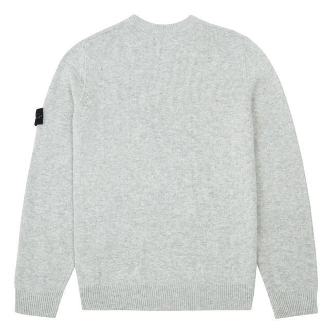 Einfarbiger Pullover | Grau