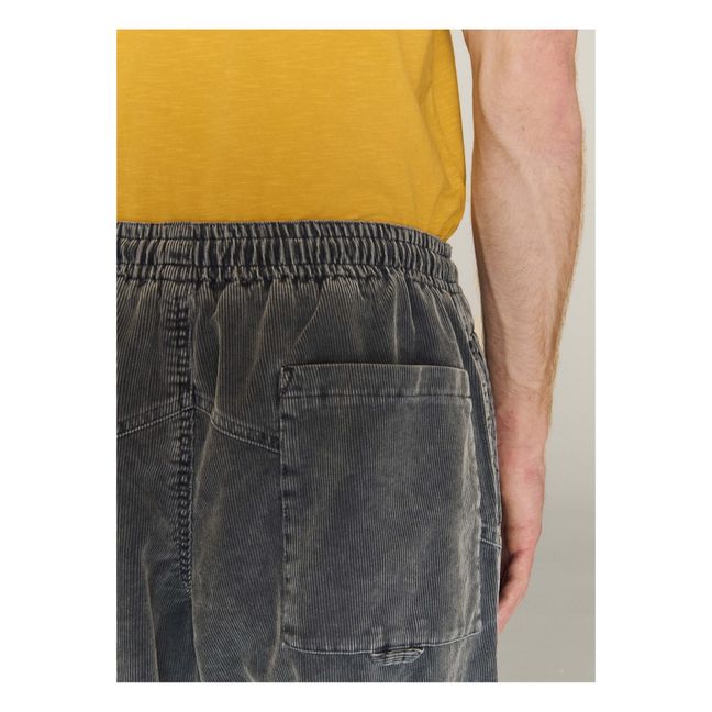 Pantalon Alva Skate  | Bleu