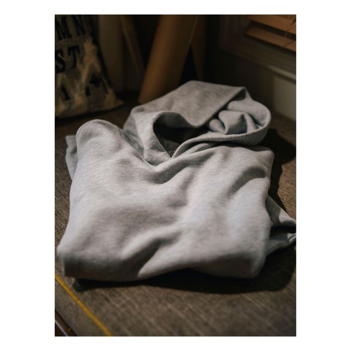 Cravan Hoodie | Grau Meliert- Produktbild Nr. 2
