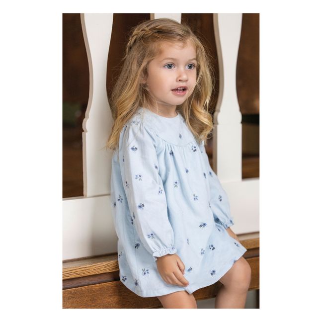Besticktes Milleraies-Kleid aus Samt | Hellblau