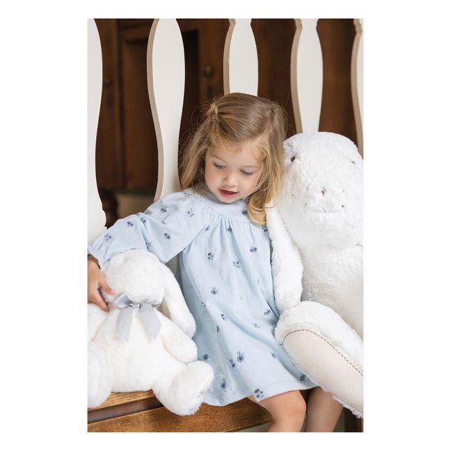 Besticktes Milleraies-Kleid aus Samt | Hellblau