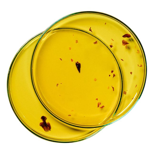 Olio nutriente Petali di rosa - 100ml
