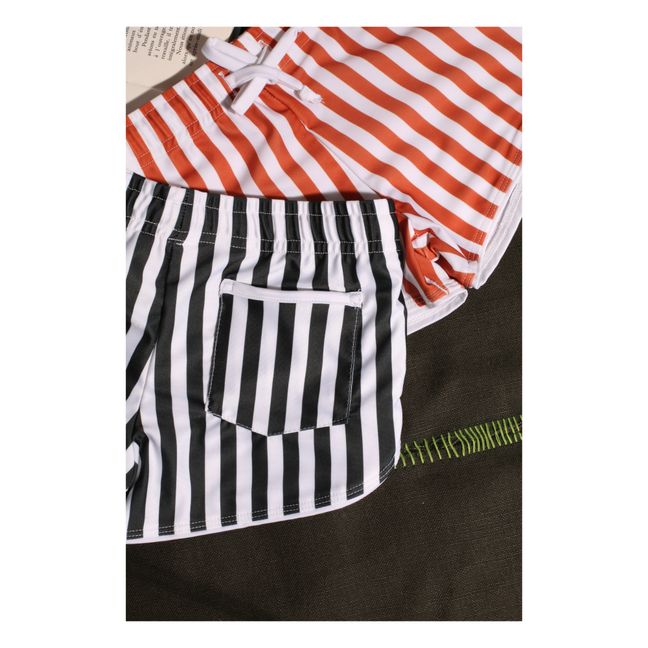 Flamands Striped UV Protection Swim Shorts | Black