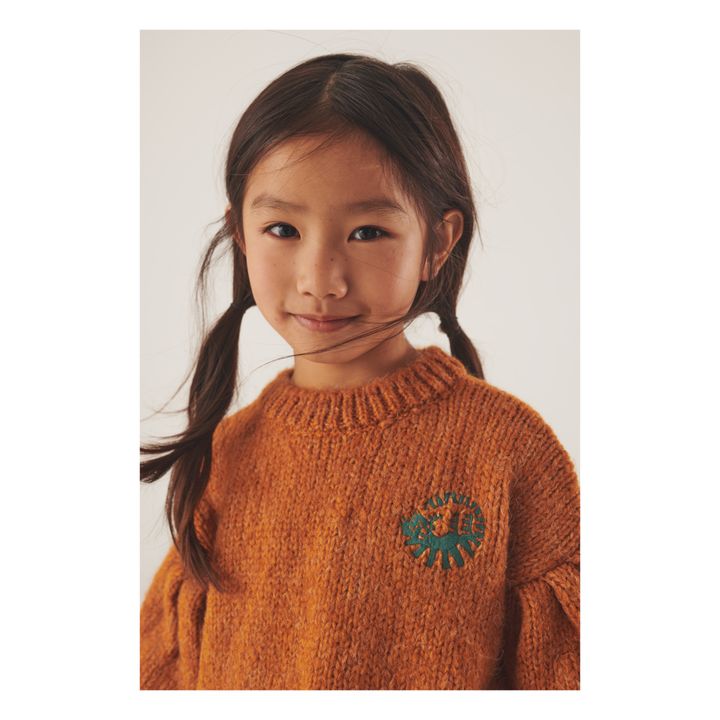 Pullover Lira | Rostfarben- Produktbild Nr. 2