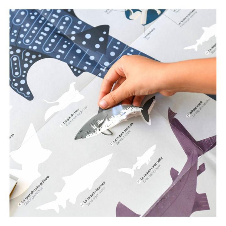 Poster Stickers Sharks- Product image n°4