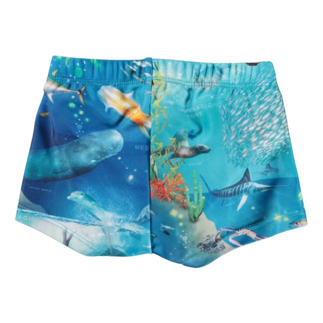 Nansen Recycled Polyester Swim Shorts | Blue