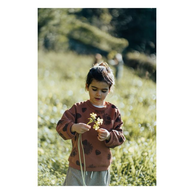 Sweat Coton Bio Chestnut | Chocolat