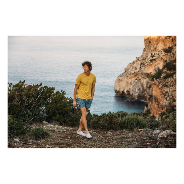 Short de Bain Oursins | Vert