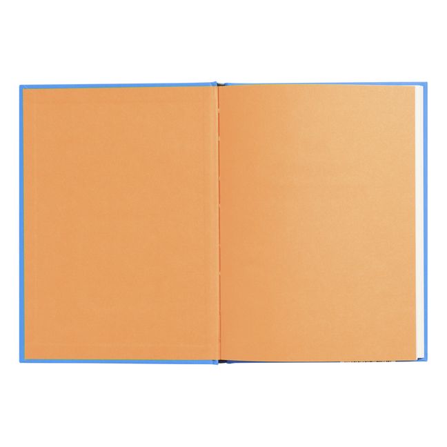Livre Le nouvel arrivant