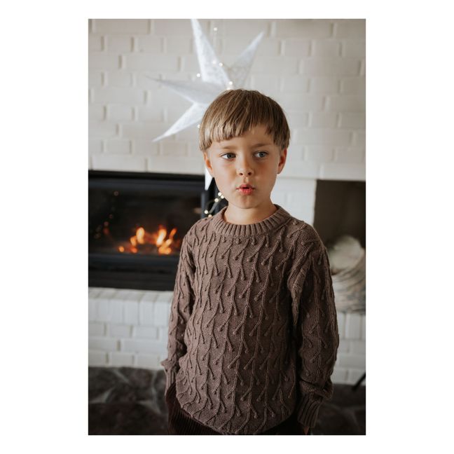 Bon Cable jumper | Chocolate