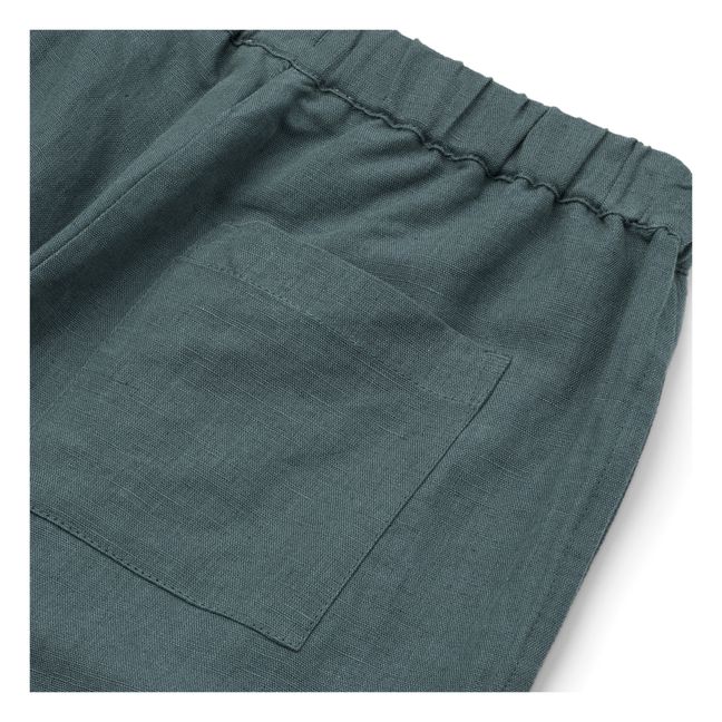 Pantalones Orlando de lino | Azul verde