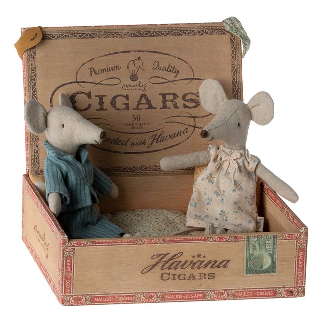 Maman et papa souris dans leur boîte à souris