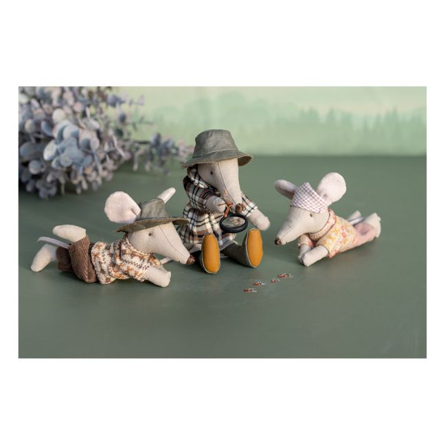 Souris randonneuse