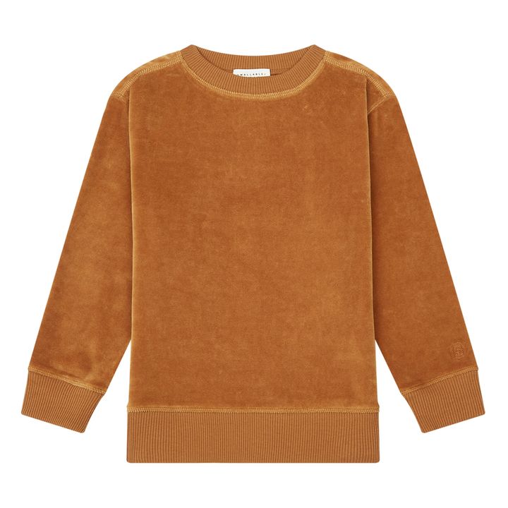 Sweatshirt mit Rundhalsausschnitt aus Velours | Haselnussbraun- Produktbild Nr. 0
