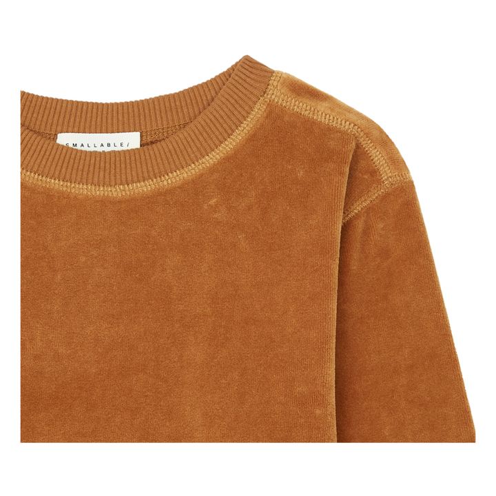 Sweatshirt mit Rundhalsausschnitt aus Velours | Haselnussbraun- Produktbild Nr. 1