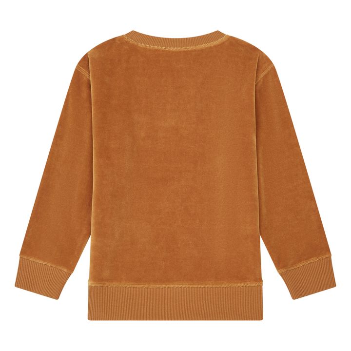 Sweatshirt mit Rundhalsausschnitt aus Velours | Haselnussbraun- Produktbild Nr. 2