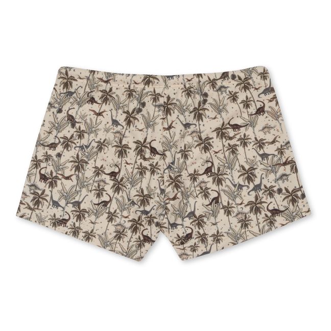 Aster Recycled Fibre Swim Shorts | Beige