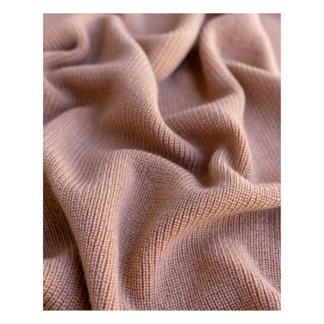 Couverture Felix Laine Mérinos | Rosa Palo