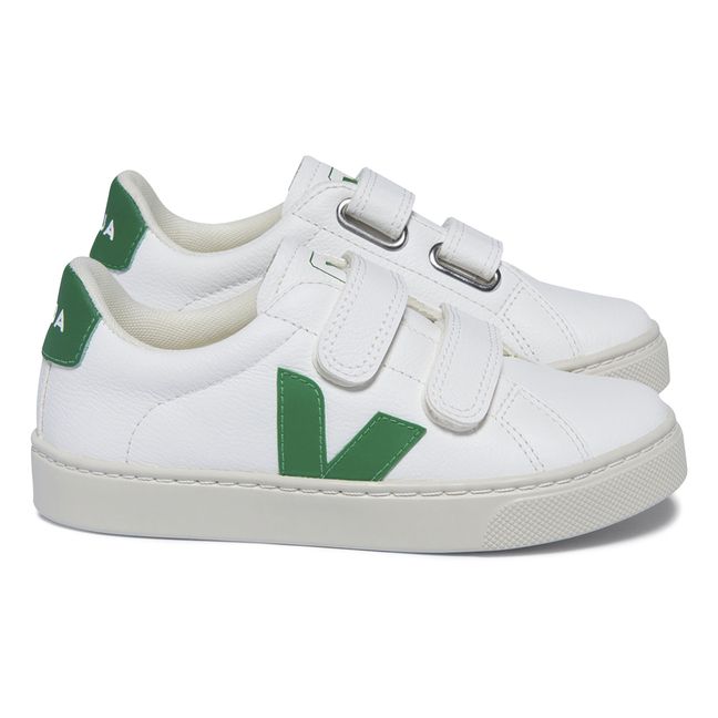 Esplar Scratch Sneakers | Green