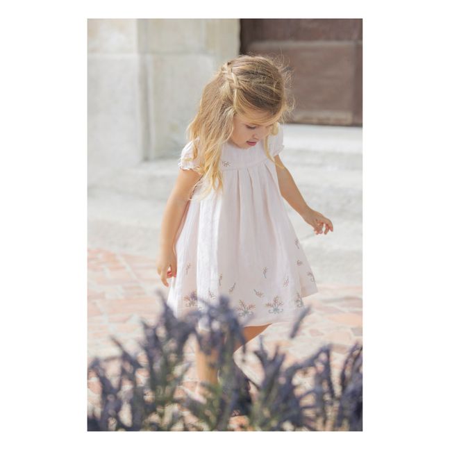 Linen Embroidered Dress | Pale pink