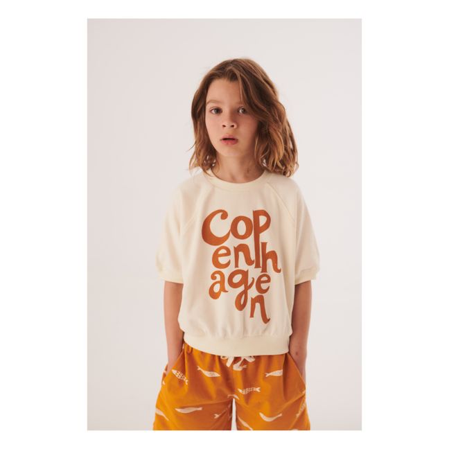 Sweatshirt Copenhagen Bio-Baumwolle | Seidenfarben