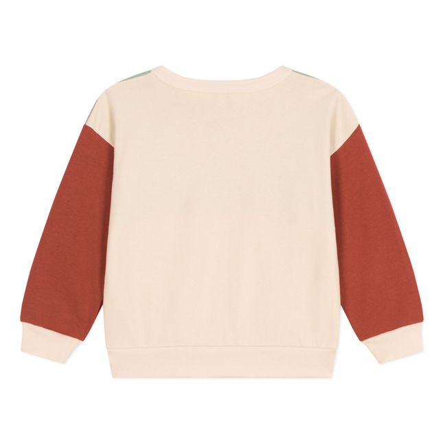 Mael Colorbloc sweatshirt | Sage