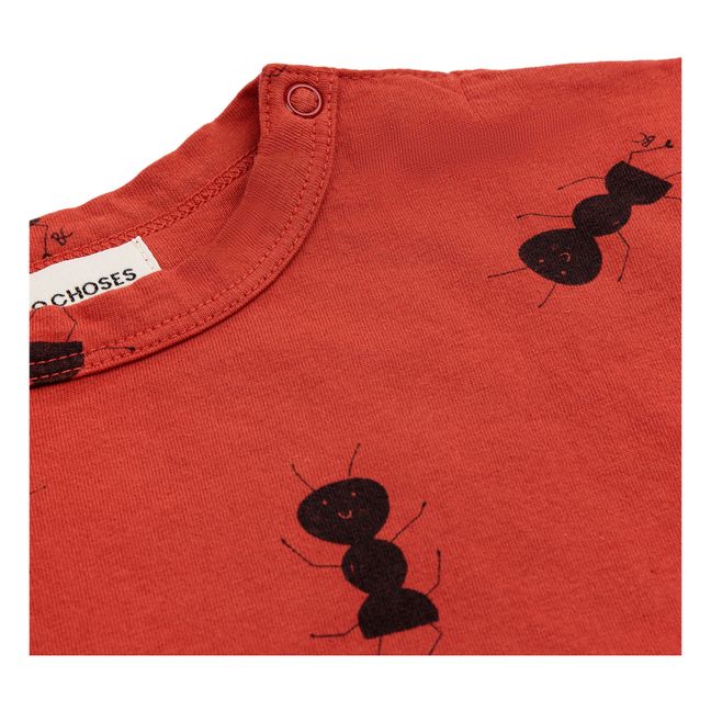 Camiseta Organic Cotton Ant | Terracotta