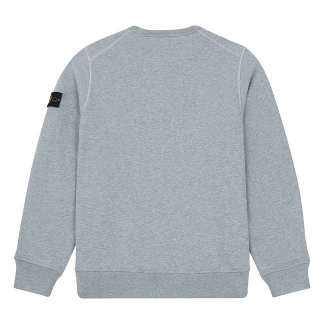 Sweatshirt | Grey
