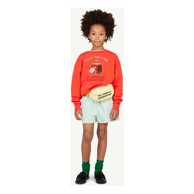 Sweat Bear Billy Le Chien | Red