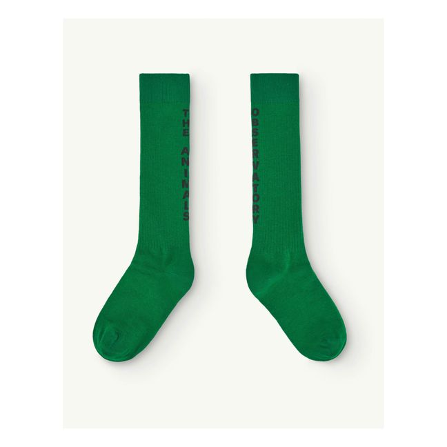 Calcetines de gusano | Verde