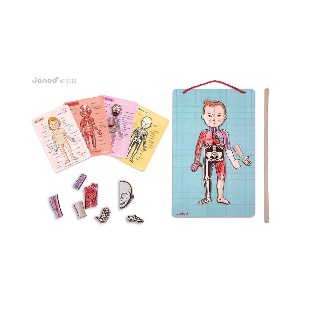 Janod - Corps magnétique - 11 langues - Multicolore