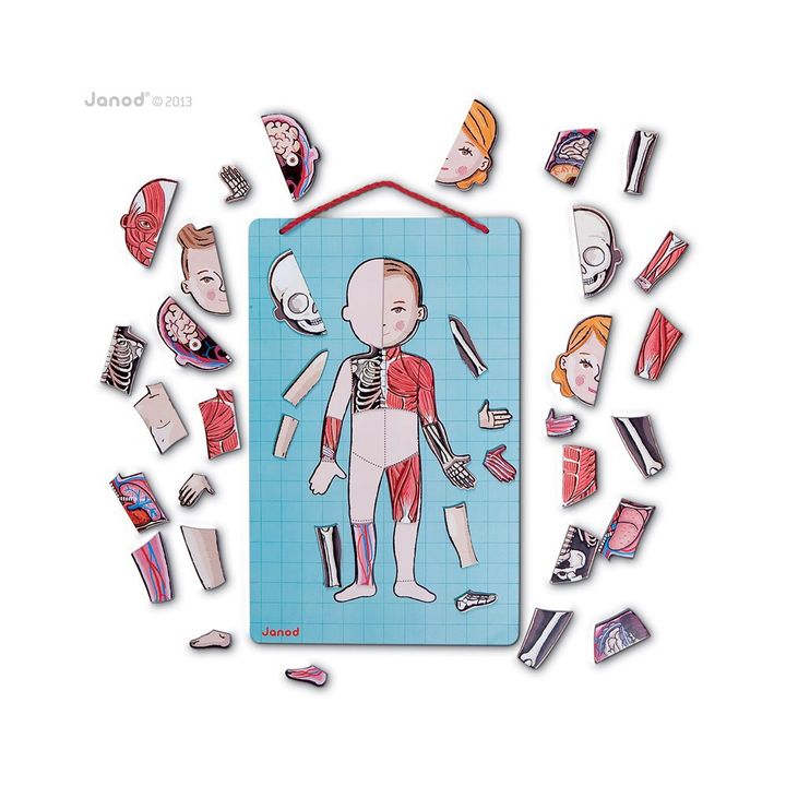 Magnetic Anatomy Puzzle- Product image n°1