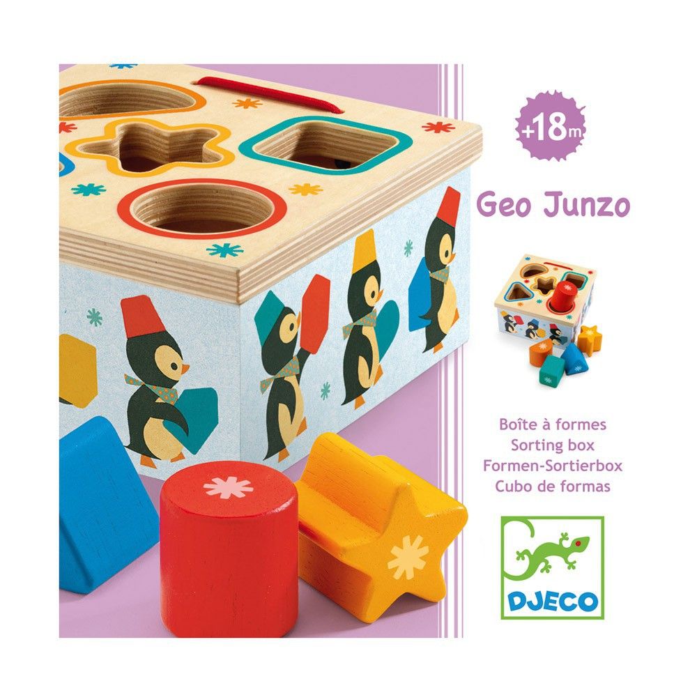 Djeco - Boîte à forme Geo Pingy - Multicolore