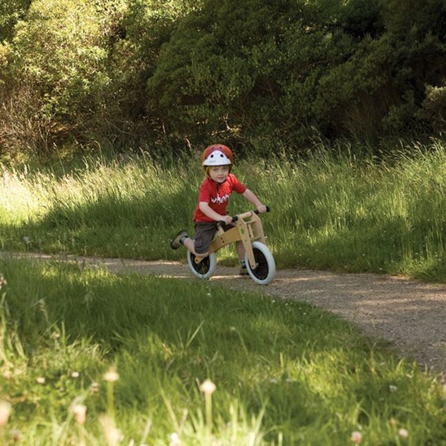Classic 3-in-1 Push Bike